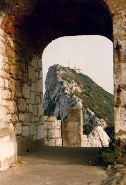 A view of the top of the rock