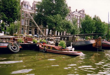 Plantes et animaux sont communs sur les bateaux