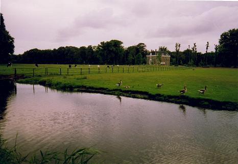 Ducks swimming, on the North Sea trail
