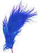 magic feather