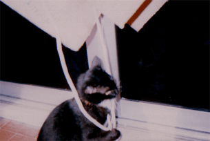 Hey! Why's this string on me?