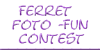 Back to Ferret Foto-Fun Contest!
