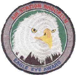 Eagle Eye Patch