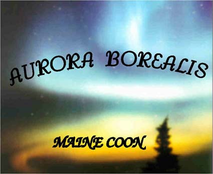 AURORA BOREALIS (nördliches Polarlicht)