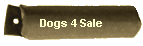 Dogs 4 Sale