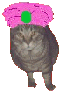 Madam Troublinksi