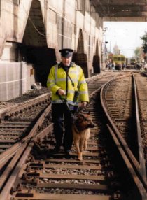 Garda Dog and Handler on Patrol behind Lansdowne Road, Dublin