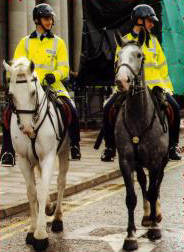 Garda Mounted Unit on Patrol Duty