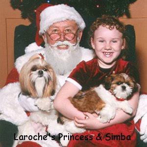 Laroche's Princess & Simba