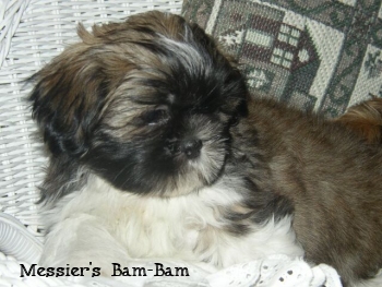 Messier's Bam-Bam