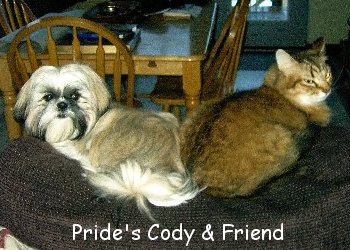 Pride's Cody & Friend