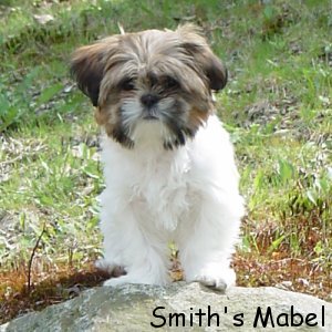 Smith's Mabel