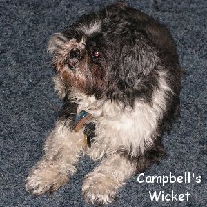 Campbell's Wicket