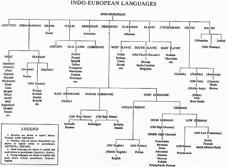 IE Language Map