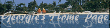 home page banner