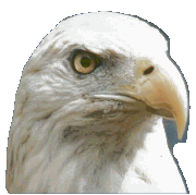 granite-eagle.gif (16831 bytes)
