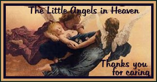 Little Angels in Heaven/Guardian Angel Adoptions