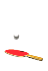 Ping Pong anyone?