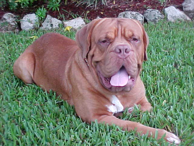 Benny