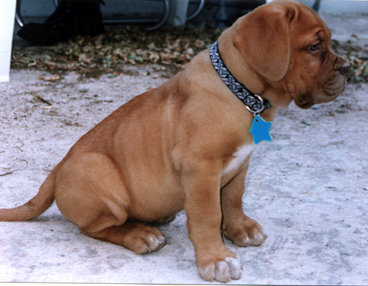 Isn't he adorable ?