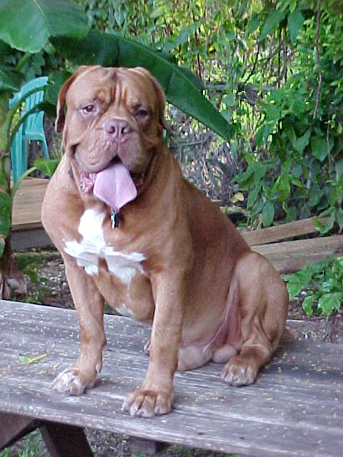 Benny at 20 months