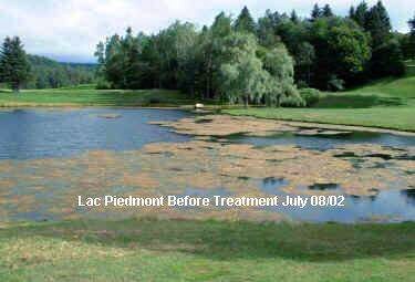 Before Bio-Logics 6000-PC Biological Pond Treatment 