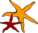 starfish.gif (3035 bytes)