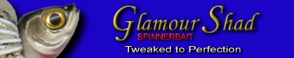 www.glamorshad.com