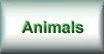 Animals page
