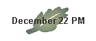 December 22 PM