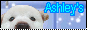 RESUCITADA.pagina.de.ASH!!!