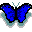 mariposa_azul