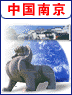 󻪸Ͼͬ