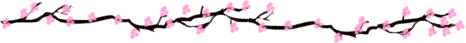 picture of cherry blossom branch