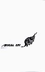 Angel Air              