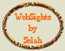 WebSights by Selah logo