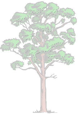 tree7.gif (18839 bytes)