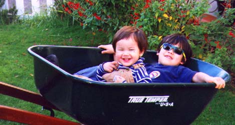 Two boys in a Wheelbarrow
