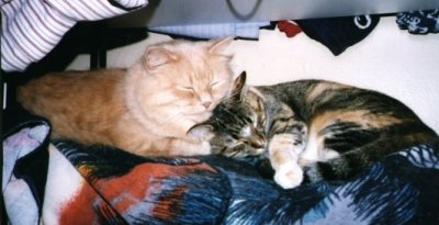 Sarah and Tubby - Sleeping