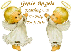 Genie Angels