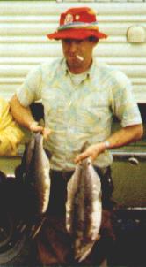 Alaskan Salmon catch