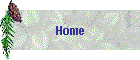 homebt.gif (2985 bytes)