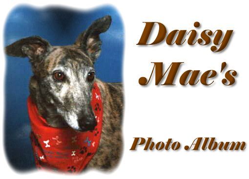 Daisy Mae's Photo Album