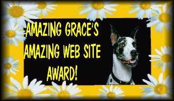 Amazing Graces Amazing Award
