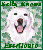 Kelly Knows Excellence Homepage Award