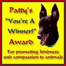 Patty's You're A Winner Award