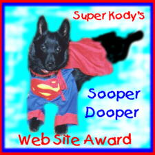 Super Kodys Award