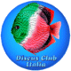 Discus Club Italia