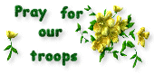 Support Our Troops!