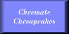 Chesmate Chesapeakes